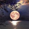 Beautiful Full Moon on Lake - Landscape Paint By Number