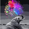 A fun Elephant - Animals Paint By Number