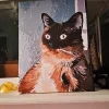Custom Paint By Numbers​ Pets 3
