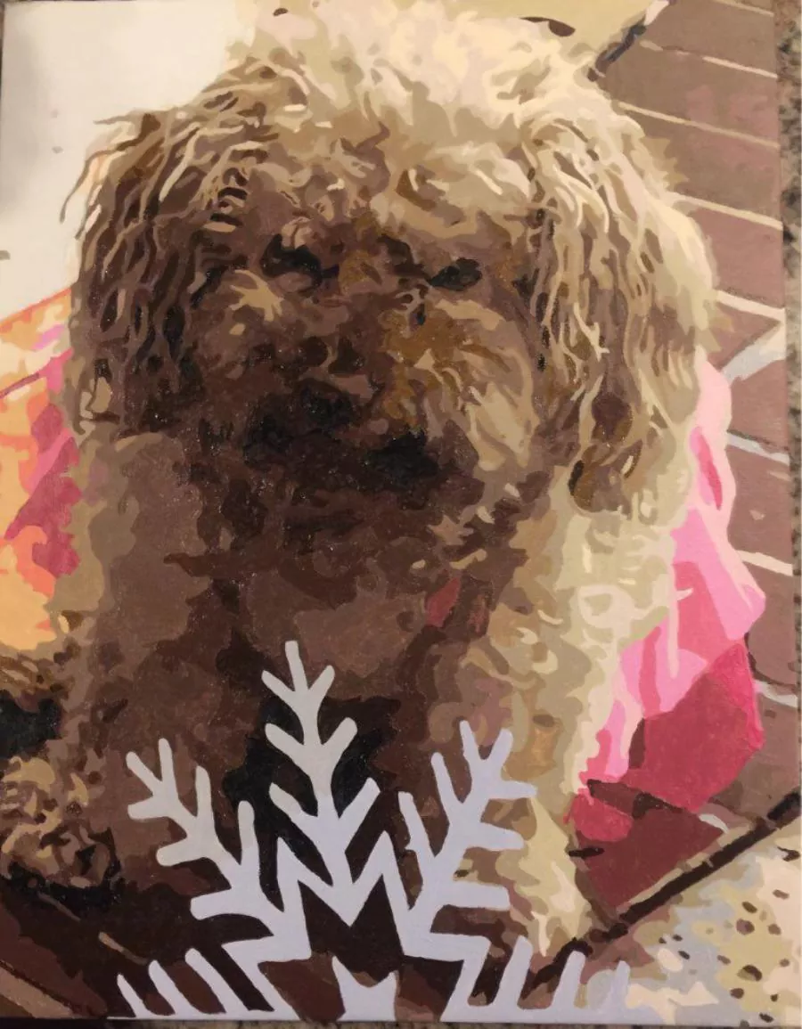Custom Paint By Numbers​ Pets rev 1