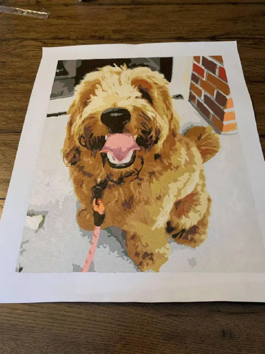 Custom Paint By Numbers​ Pets rev 2