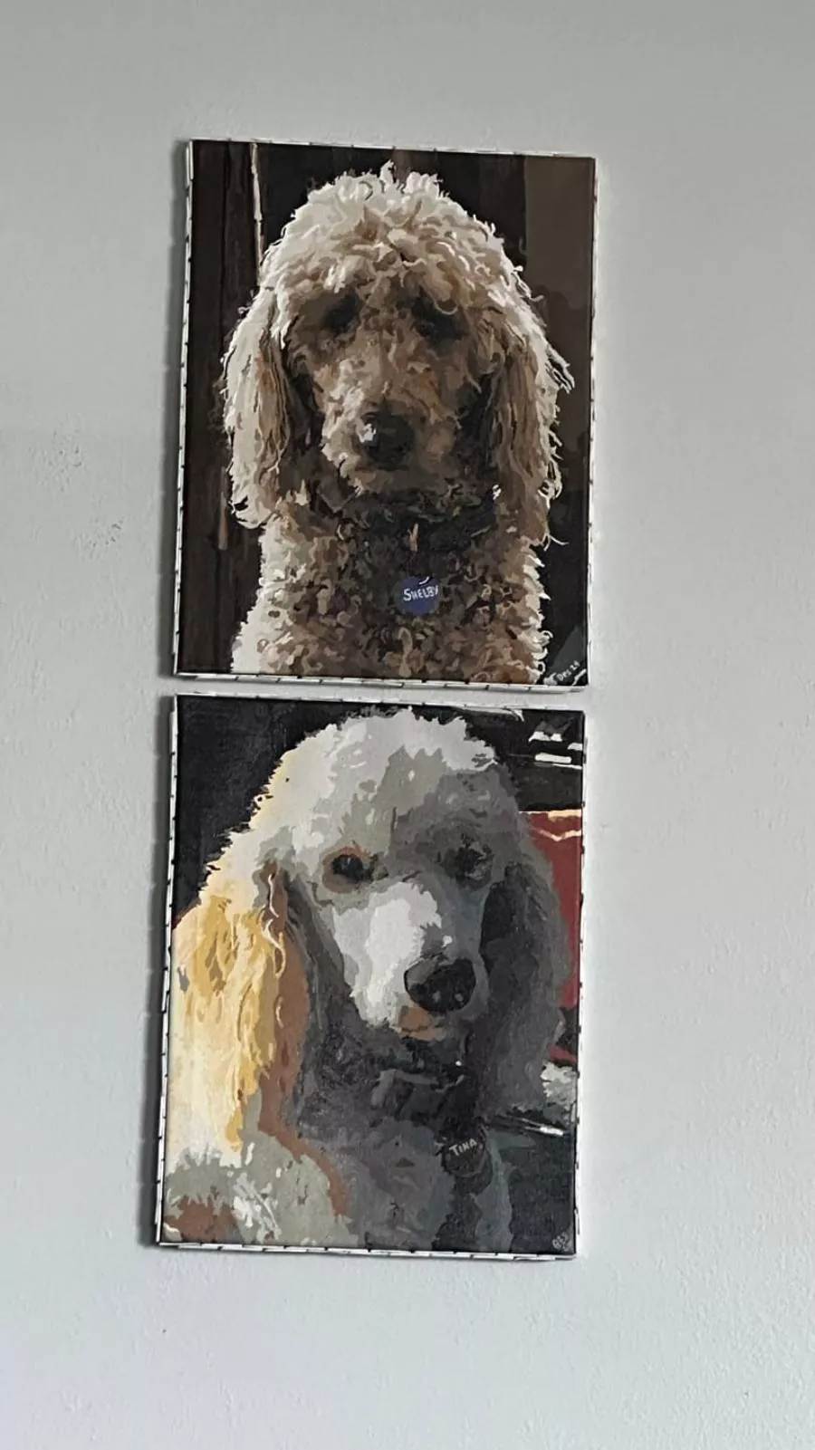 Custom Paint By Numbers​ Pets rev 4
