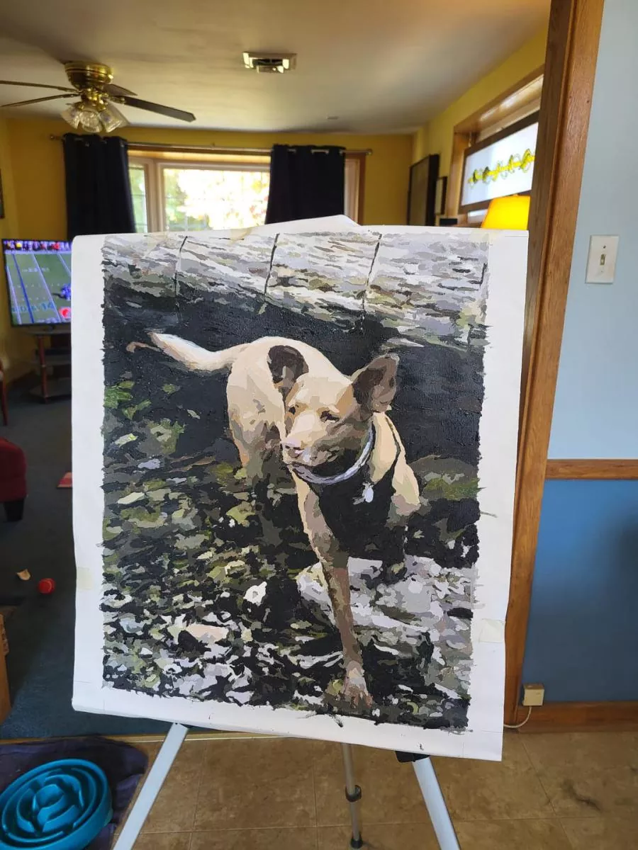 Custom Paint By Numbers​ Pets rev 5
